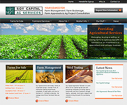 Soy Capital AG Website Design